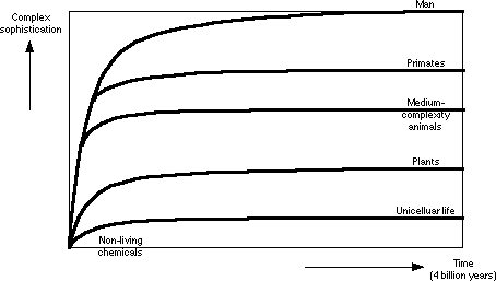 Simple Graph 1