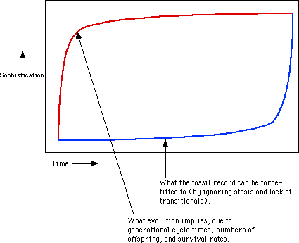 Simple Graph 2