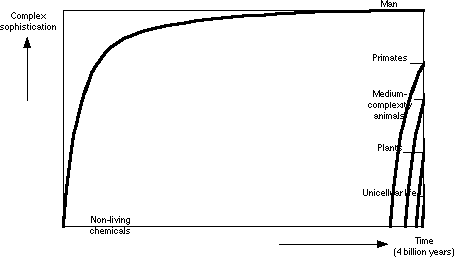Simple Graph 4