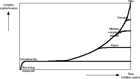 Simple Graph 5