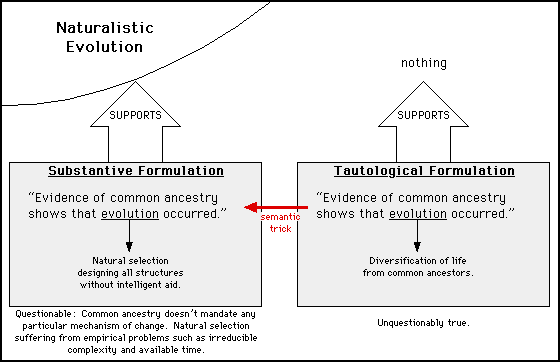 Semantic Trick 3